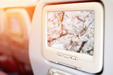 Aircraft monitor in front of passenger seat showing Little bird