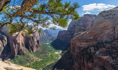 Zion Canyon - view from Angels Landing