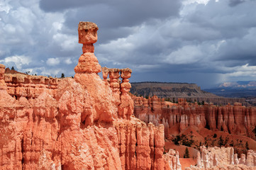 Red rocks in Bryce National Park