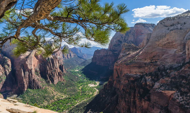 Zion Canyon - view from Angels Landing