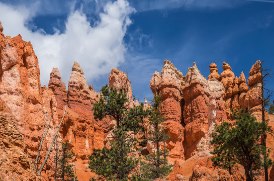 Red colored stones in Bryce Canyon