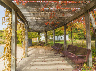 Bus stop with foliage