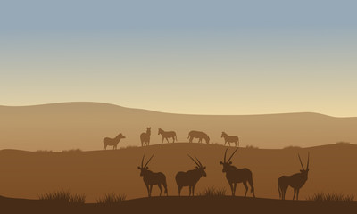 Fototapeta na wymiar Antelope and zebra on the hills