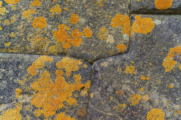 Fototapeta premium Detail of Inca's perfect stonework with yellow mold. Wayllabamba