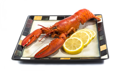 cooked Lobster Plated for Serving