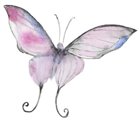 Abstract Watercolor hand drawn butterfly