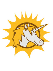 sonnenkopf face unicorn unicorn foal child sweet cute little comic cartoon pony pferdchen