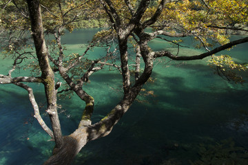 Beautiful scenery in Jiuzhaigou, Sichuan Province, China