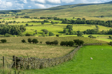 Obraz premium Countryside of the Lake District