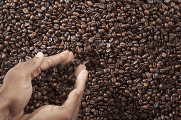 close-up shot of human hands with coffee beans.