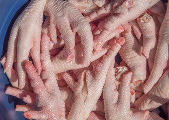 Fototapeta premium Fresh chicken foot in a bowl prepared for cooking.
