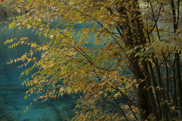Beautiful scenery in Jiuzhaigou, Sichuan Province, China