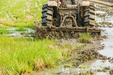 Agricultural tractor cultivated land in the paddy fields