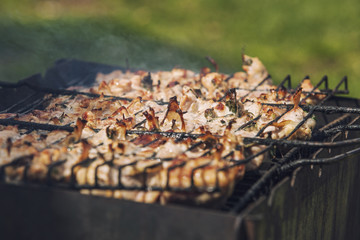 Meat fried in a lattice on coals, to prepare outdoors