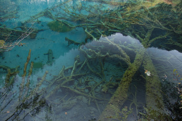 Beautiful scenery in Jiuzhaigou, Sichuan Province, China