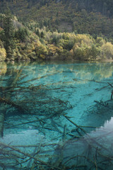 Beautiful scenery in Jiuzhaigou, Sichuan Province, China