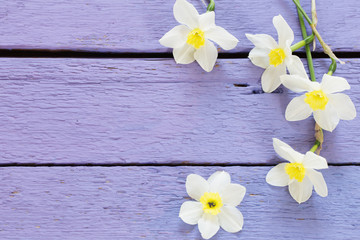 spring flowers on wooden background