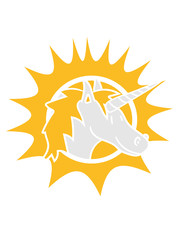 sonnenkopf face unicorn unicorn foal child sweet cute little comic cartoon pony pferdchen