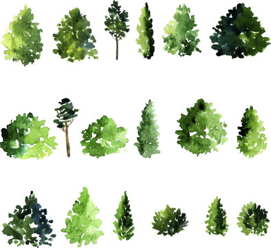 set of trees drawing by watercolor