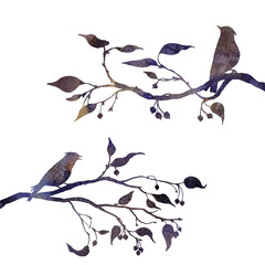 birds at tree silhouettes