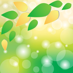 green bokeh abstract light background. Vector illustration