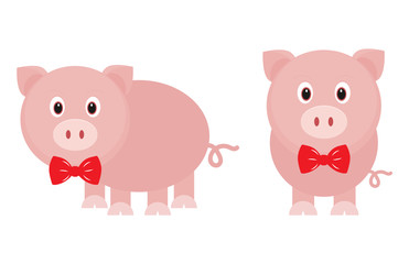funny pig with tie set