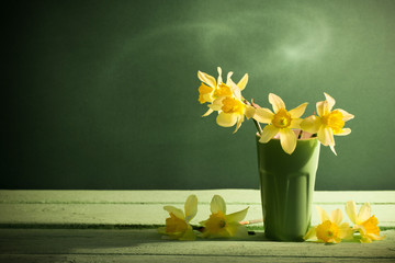Daffodil in vase on green background