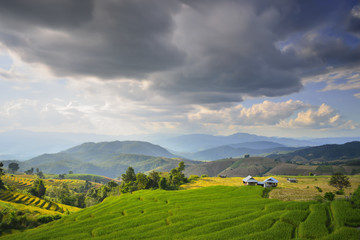 Obraz premium The beautiful sunset at Terraced Paddy Field in Mae-Jam Village , Chaingmai Province