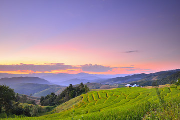 The beautiful sunset at Terraced Paddy Field in Mae-Jam Village , Chaingmai Province