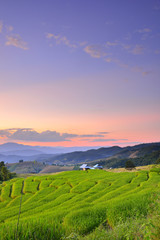 The beautiful sunset at Terraced Paddy Field in Mae-Jam Village , Chaingmai Province
