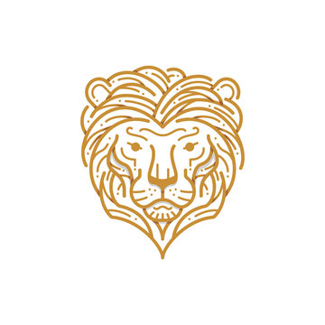 Lion head line illustration