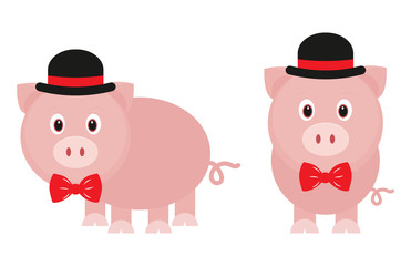 funny pig with tie and hat set