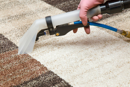 Carpets chemical cleaning with professionally extraction method. Early spring cleaning or regular clean up.