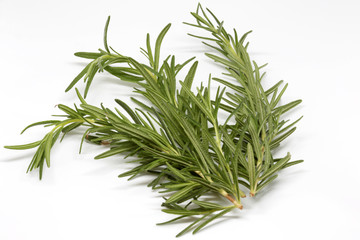 rosemary on white background