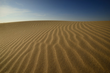 The desert