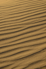 The desert