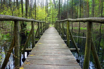 Obraz premium footbridge path on trail in forest