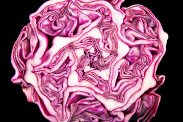 Obraz premium Cut red cabbage