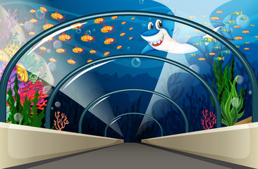 Public Aquarium with fish and coral reef