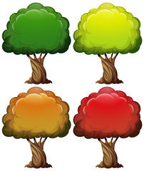 Tree with color leaves in four seasons