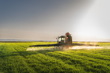 Obraz premium Tractor spraying wheat field