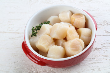 Raw scallops