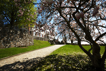 Schloss Bürgeln bei Schliengen im Markgräflerland