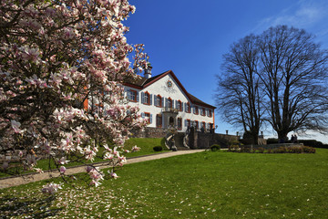 Schloss Bürgeln bei Schliengen im Markgräflerland