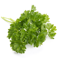 fresh parsley herb  leaves isolated on white background cutout