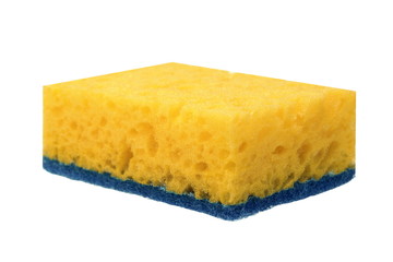 Single New Absorbent Sponge With Hardwearing Scourer Isolated On