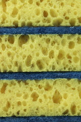 New Absorbent Yellow Sponge Vertical Background