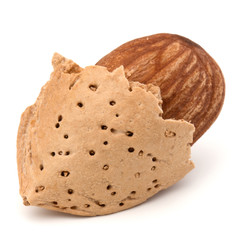 Almond nut in shell and shelled isolated on white background clo