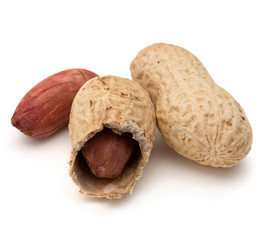 Opened and whole peanut or groundnut pod isolated on white backg
