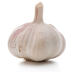 Garlic bulb isolated on white background cutout